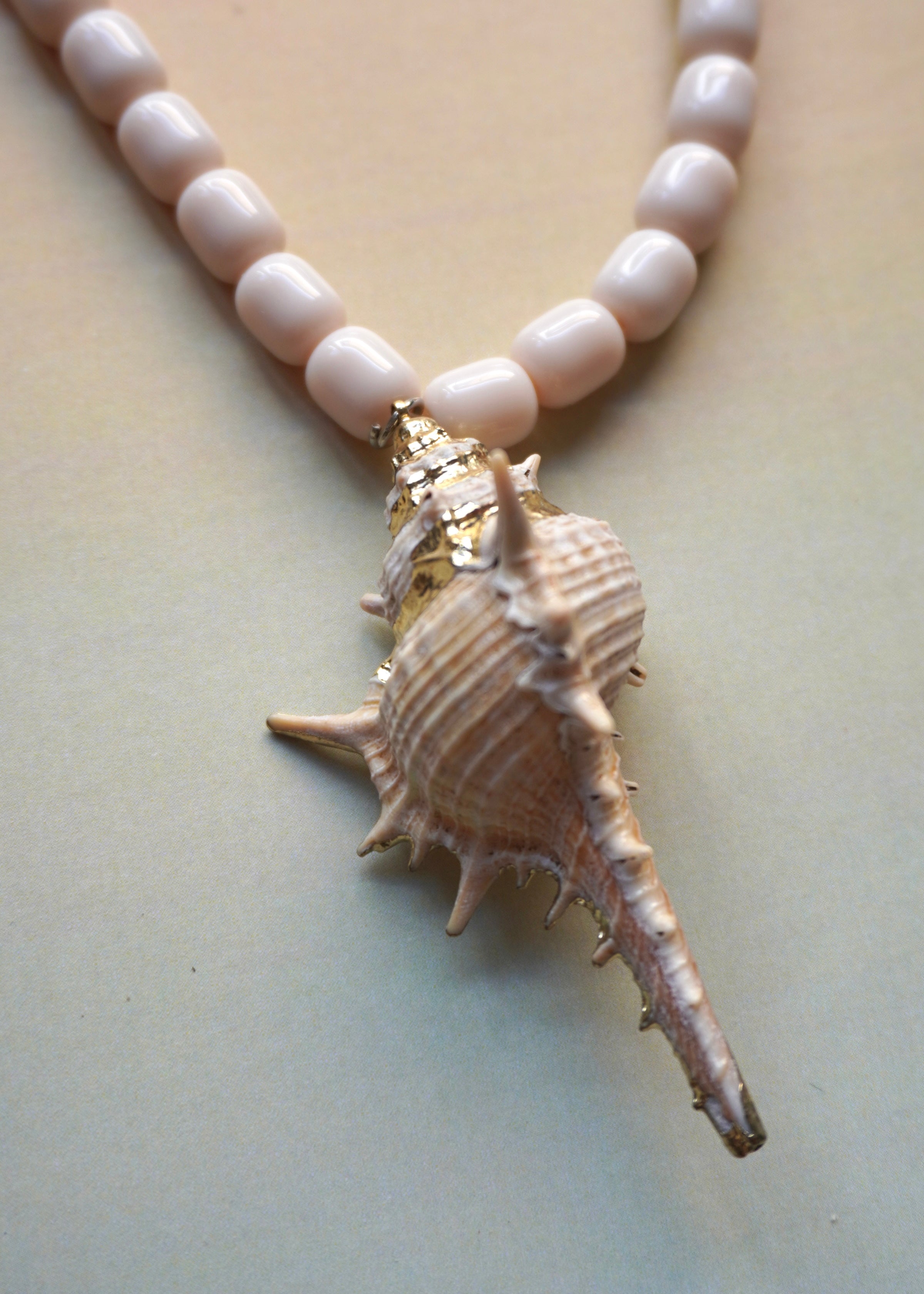 collar caracol